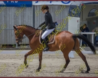 BULLE 0275